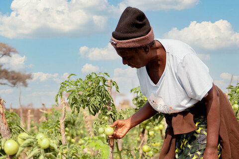 Three ways to stop the climate crisis whipping up a hunger storm