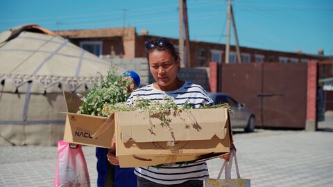 Kyrgyzstan: An herbal industry opens horizons for mountain farmers