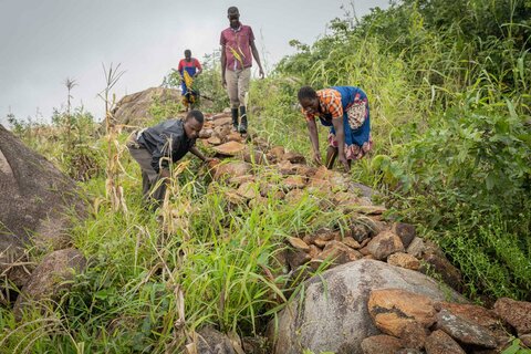 3 ways WFP protects people and planet (while tackling hunger)