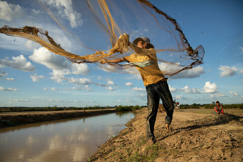 Environment day: How a canal is bringing water fish and hope to farmers in Cambodia
