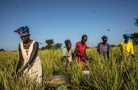 Rethinking food systems in East Africa amid conflict, climate change and rising hunger
