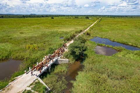 How a restored bridge trades food insecurity for hope in DRC