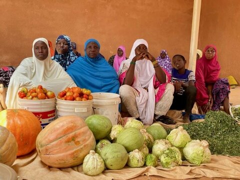 Niger shows how WFP and partners can transform lives in Africa's harsh Sahel
