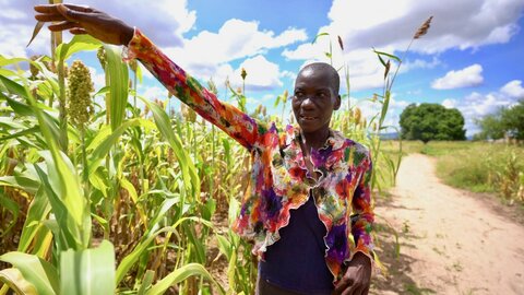 Africa Climate Week: Farmers get ahead of hunger as extreme weather sears southern Africa