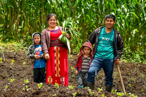 COP28: Race is on to reel back hunger amid climate change