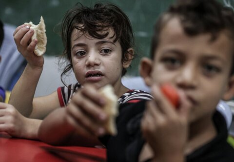 Hunger report sounds alarm on emergencies at risk of going forgotten amid crisis in Palestine 