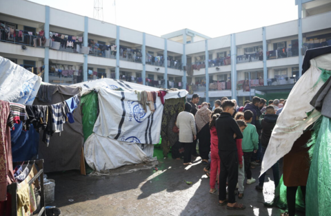 Gaza grapples with catastrophic hunger as new report predicts famine if conflict continues