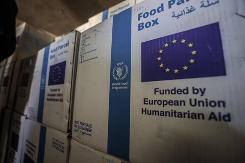 ‘I need food for my children – that’s it’: In Gaza, EU support is a lifeline for people facing famine