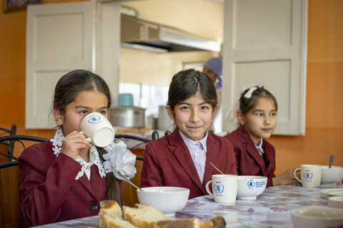 How a school meals greenhouse brings colour and nutrition to children’s diets in Tajikistan