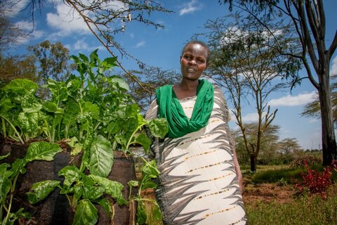 Kenyan women build businesses and power thanks to village savings groups