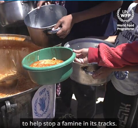 Gaza updates: WFP responds to hunger crisis as Rafah incursion cuts access to warehouse