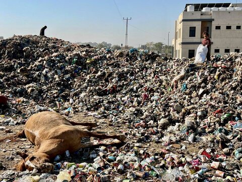 Destroyed homes, destroyed dreams: hungry Gazans end a grim year
