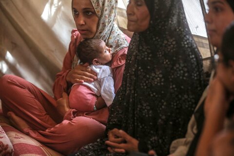 Gaza needs immediate ceasefire and massive scale-up in food assistance 
