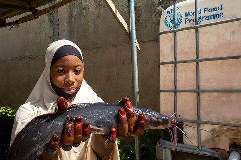 Blog: Reflections on the hunger crisis in northern Nigeria