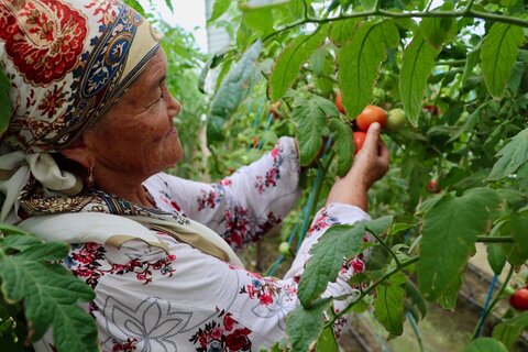In rugged Kyrgyzstan, smallholder farmers turn hardship into hope