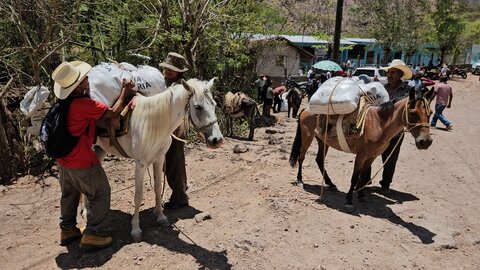 As a mighty El Niño deepens global hunger, early action pays off