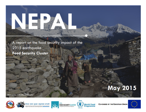 Nepal earthquake – in-depth household assessment (30 May 2015)