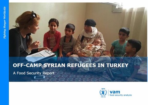 Türkiye - Off-Camp Syrian Refugees in Türkiye: A Food Security Report, April 2016