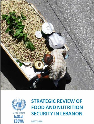 Strategic Review Of Food And Nutrition Security in Lebanon