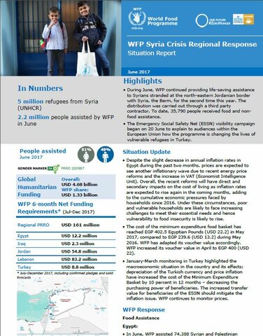 Situation Report -  Syria Crisis Regional Response