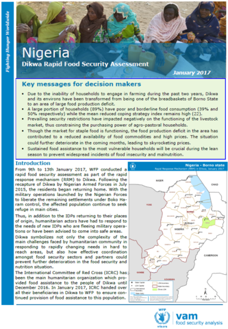 Nigeria - Dikwa: Rapid Food Security Assessment, January 2017