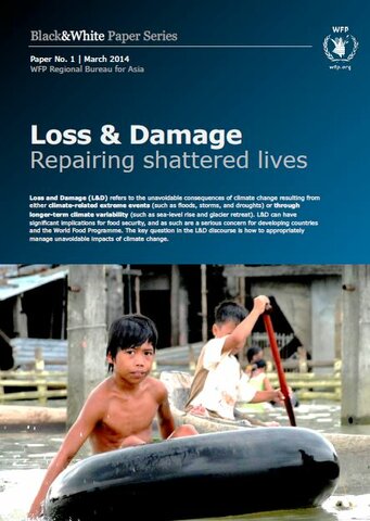 Loss and Damage: Repairing Shattered Lives