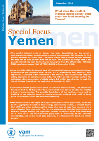 Yemen - Special Focus: What does the conflict-induced public sector crisis mean for food security in Yemen? November 2016