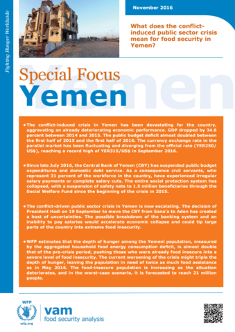 Yemen Conflict Economic Analysis: Navigating Complex Realities