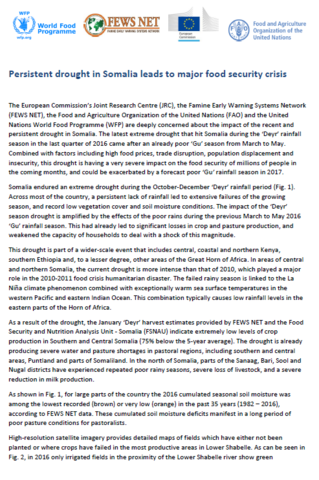 Common Statement WFP/FEWSNET/FAO/JRC: Persistent drought in Somalia leads to major food security crisis, February 2017