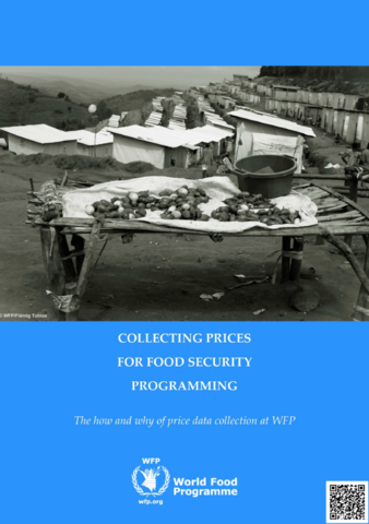 Collecting Prices for Food Security Programming: The how and why of price data collection at WFP, March 2017