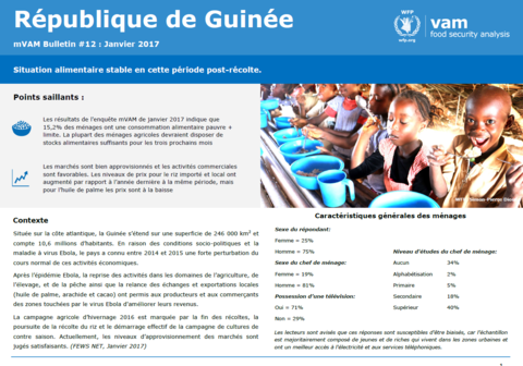 Impact of West Africa Ebola Outbreak on Food Security and Staple Food Prices