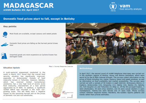 Madagascar - mVAM Monitoring