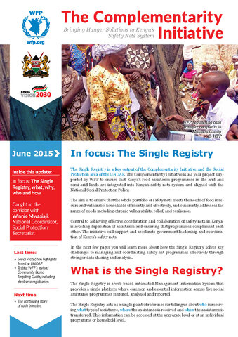 The Complementarity Initiative - In focus: The Single Registry (June 2015)