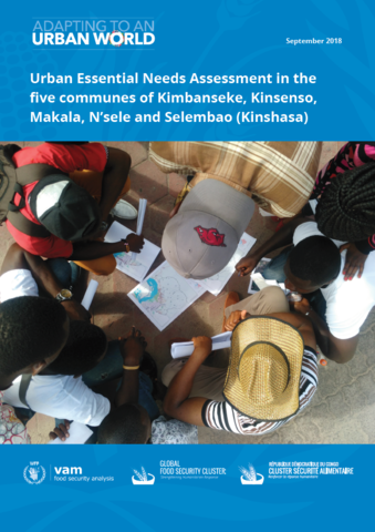 Democratic Republic of the Congo - Urban Essential Needs Assessment in the five communes of Kimbanseke, Kinsenso, Makala, N'sele and Selembao (Kinshasa), September 2018