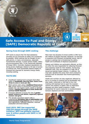 2017 - SAFE Access to Fuel and Energy Initiative in DRC