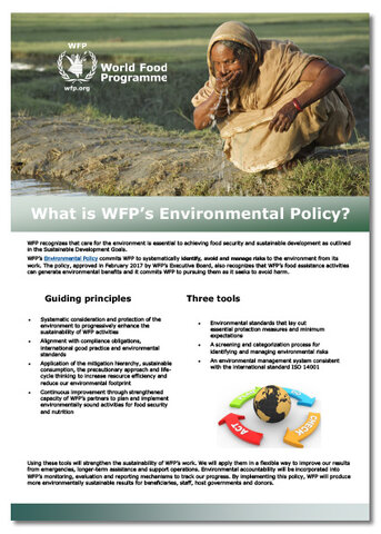 2017 - Environmental Policy Factsheet