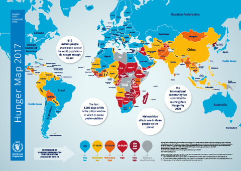 World Hunger Chart 2017