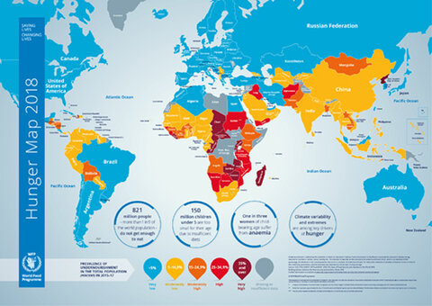 World Hunger Chart