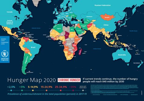 World Hunger Map 2020