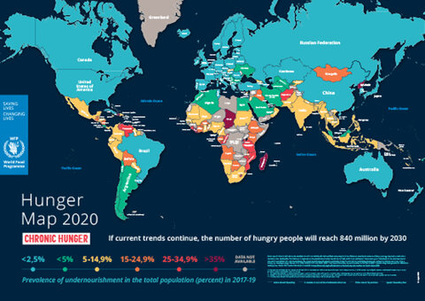 Hunger Map 2020 World Food Programme