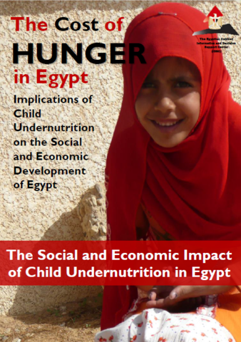The Cost of Hunger in Africa: Egypt 2013