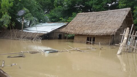 Food Security Sector: Agriculture and Livelihood Flood Impact Assessment Report