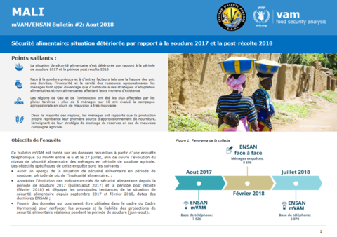Mali - mVAM Monitoring