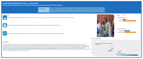 Niger - mVAM Monitoring