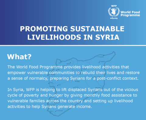 2017 - Promoting sustainable livelihoods in Syria