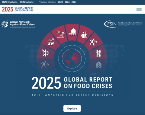 Cover of 2025 Global Report on Food Crises by FSIN and Global Network Against Food Crises, promoting joint analysis for better decisions.
