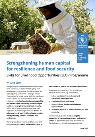 Beekeeper in protective gear holds honeycomb frame; image promotes WFP’s Skills for Livelihood Opportunities (SLO) Programme.