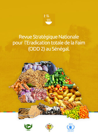 Senegal Strategic Review