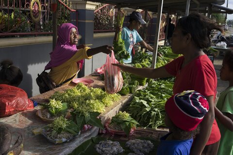 2018 - Modelling the Future of Indonesian Food Consumption