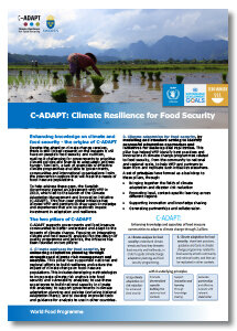 2017 - C-ADAPT : Climate Resilience for food security